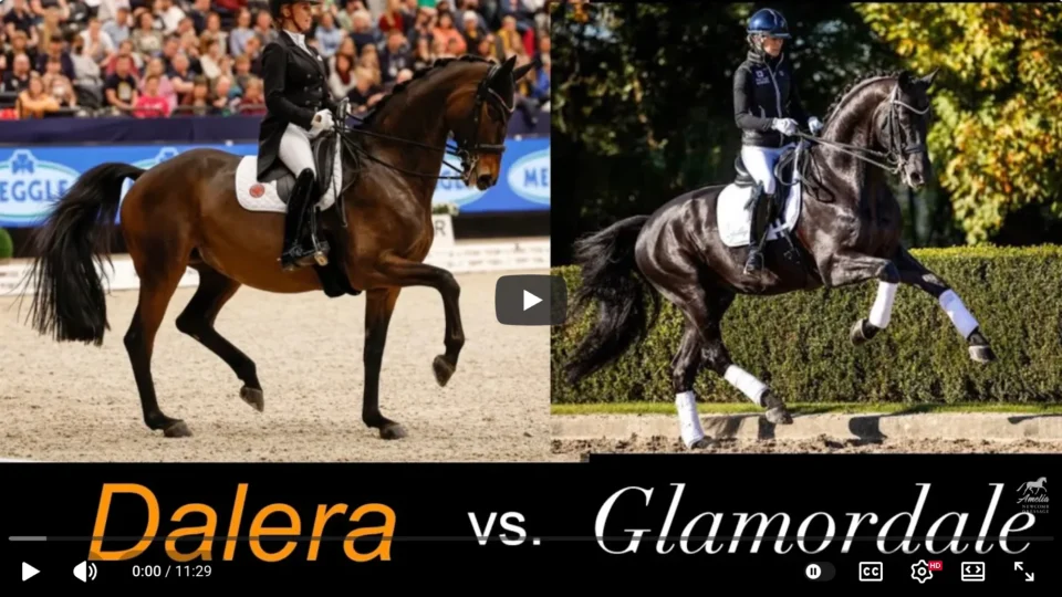 Side-by-side images of two dressage riders: left shows Dalera, a bay horse; right features Glamourdale, a striking black horse. "Dalera vs. Glamourdale" is written across the bottom, showcasing the elegance of top-level dressage competition.