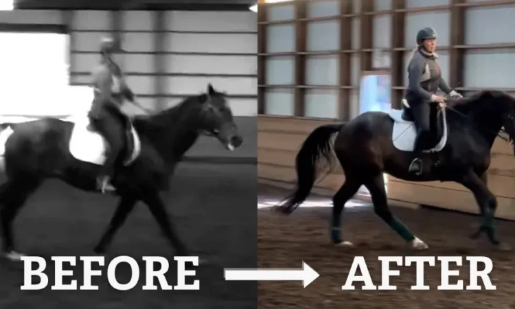Side-by-side images of a person riding a horse indoors: the left, in black and white labeled BEFORE, shows horse and rider with poor posture; the right, in color labeled AFTER, shows improved form and balance.
