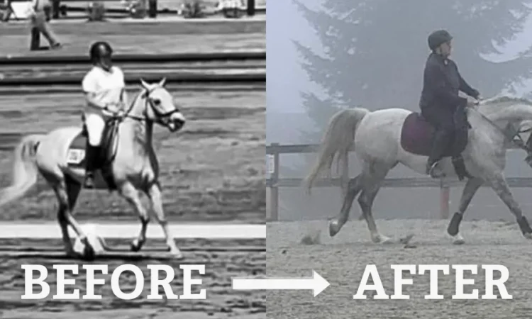 Side-by-side images of a person riding a horse: left side is in black and white labeled BEFORE, right side is in color and foggy labeled AFTER. Both riders wear helmets and ride similar-looking horses.