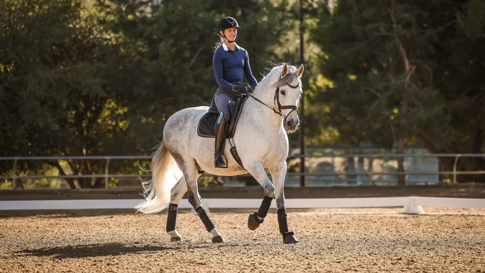 Amelia Newcomb rides a grey horse in an outdoor arena, demonstrating collected trot amid trees and filtered sunlight.