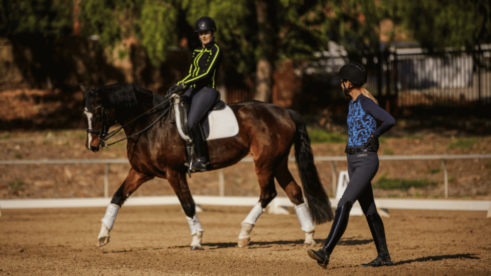 How Equestrians Use Dressage to Improve