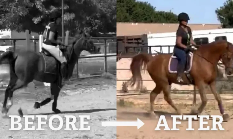 Side-by-side images of a woman riding a horse; the left is black-and-white labeled BEFORE, and the right is in color labeled AFTER. The rider’s posture and horses movement appear improved in the AFTER image.
