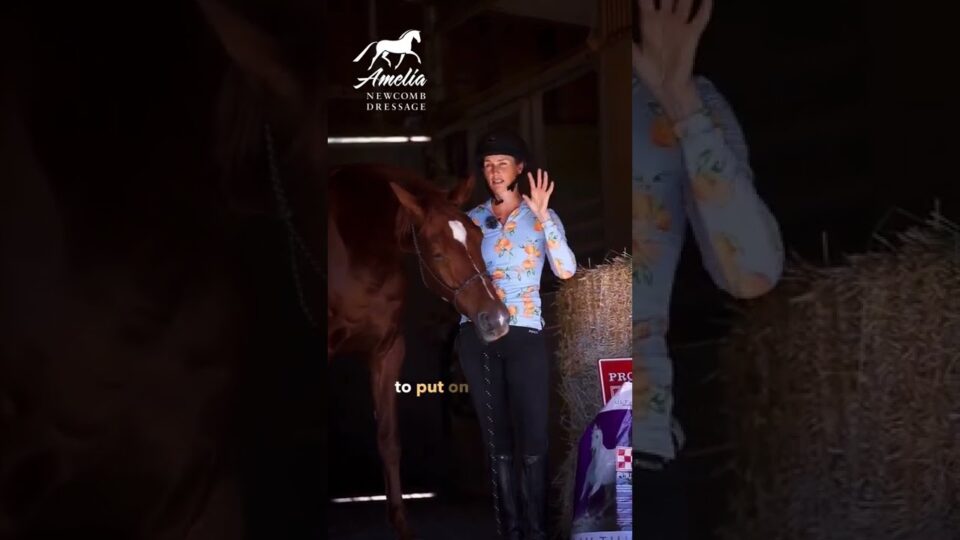 A woman in riding attire stands beside a brown horse in a stable, holding up one hand. There are bales of hay and bags visible around them. The logo Amelia Newcomb Dressage is at the top of the image.