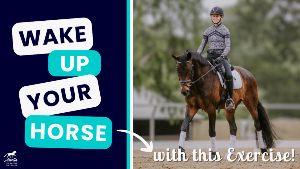 Horse and rider working on dressage form and forward movement