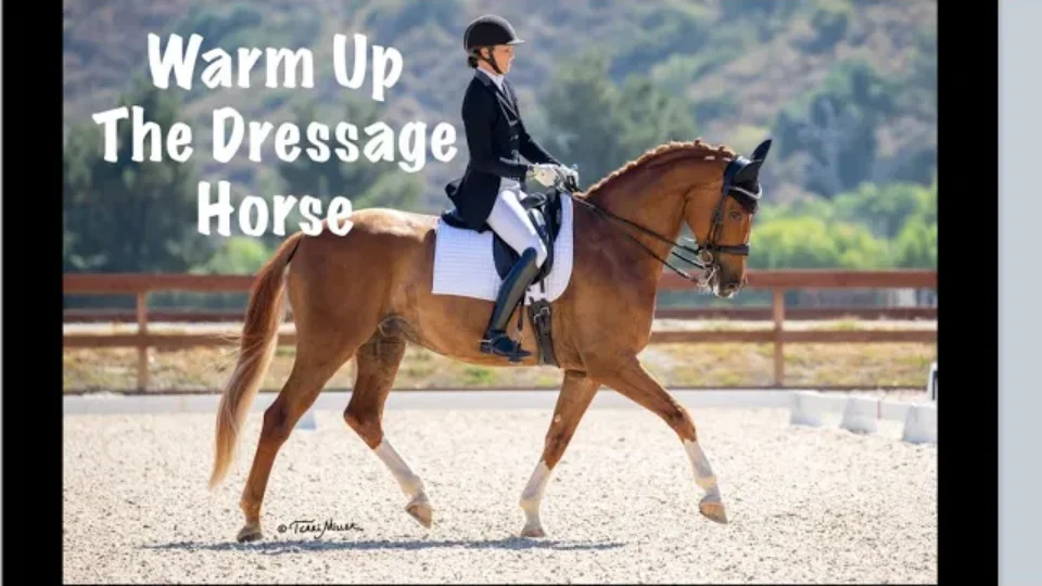 A rider in formal attire warms up a dressage horse, practicing trot canter transitions in an arena with trees and hills behind. Text on the image reads: Warm Up The Dressage Horse.
