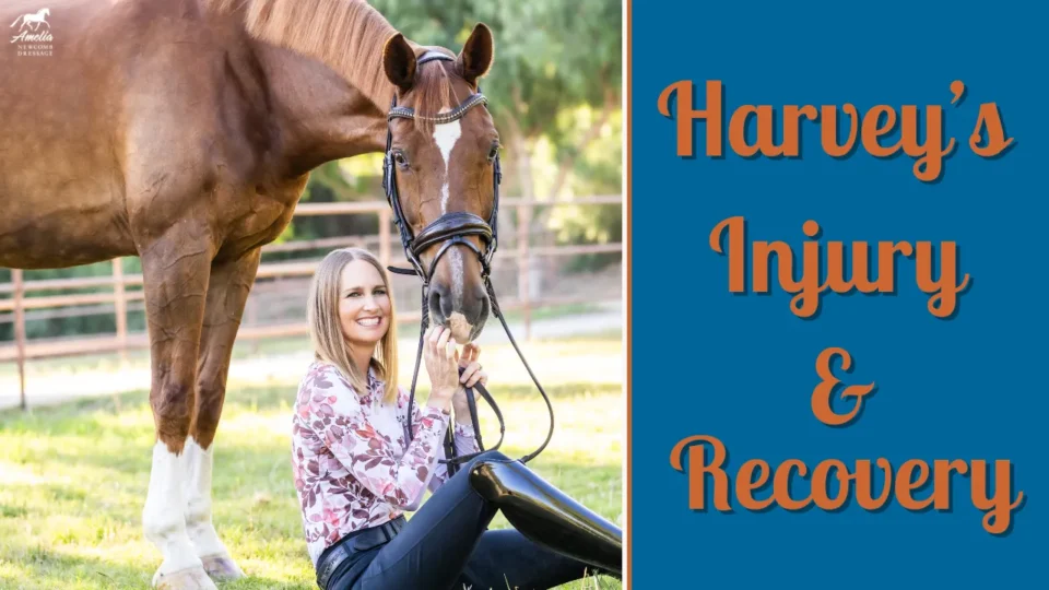 A smiling woman with a prosthetic leg sits on grass beside a brown horse. The image is split with text on a blue background reading “What Happened to Harvey & Recovery.” Trees and a fence appear in the background.