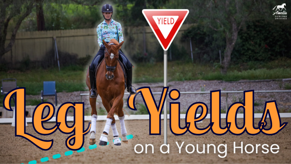 A rider in a colorful shirt practices leg yields on a young chestnut horse in an outdoor arena. Large text reads Leg Yields on a Young Horse with a yield sign in the background, highlighting essential horse training techniques.