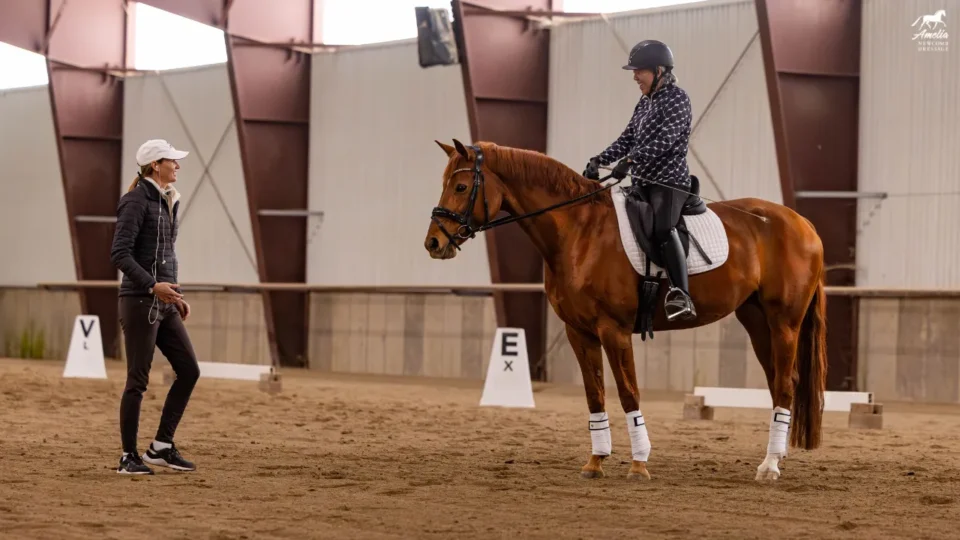 A person on a chestnut horse listens to an instructor inside an indoor riding arena. Dressage markers line the sand floor—perfect for noting your top five clinic takeaways for Summer 2025. The horse sports white leg wraps and a saddle pad.