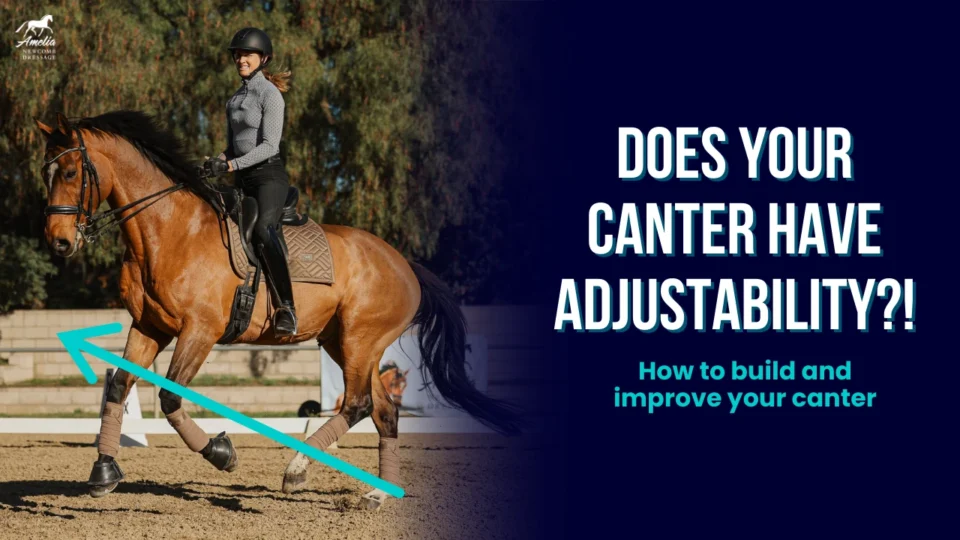 A person rides a brown horse in an outdoor arena. An arrow points to the horse’s legs. Text on the right reads: Does your adjustable canter have what it takes? Learn how to develop and improve your canter skills.