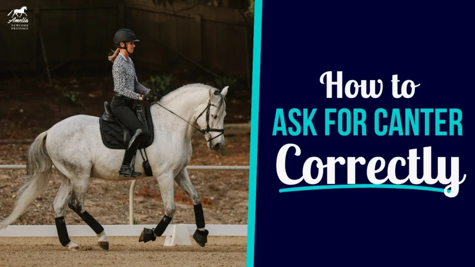 A person in riding gear is riding a white horse in a sandy arena. Text on the right says, How to ask for balanced canter transitions correctly, in white and aqua letters on a navy background.