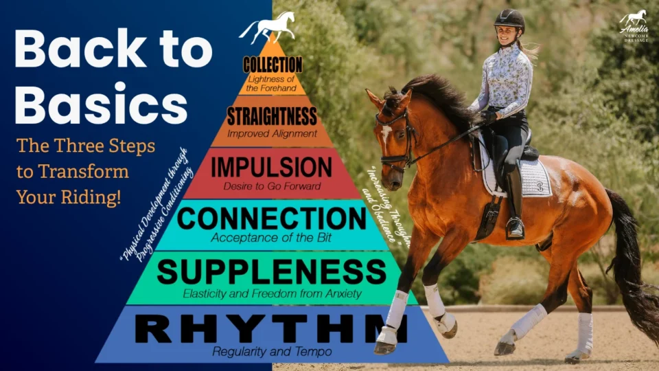 A rider on a bay horse demonstrates a working trot in dressage, positioned beside a vibrant training pyramid featuring the sequential elements of the classical Training Scale: Rhythm, Suppleness, Connection, Impulsion, Straightness, and Collection. The image includes text stating “Back to Basics – The Three Steps to Transform Your Riding!”—reinforcing that systematic progression through foundational principles is essential for effective problem-solving and progress in dressage.