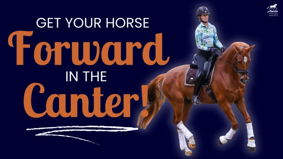 A rider in a helmet and colorful shirt canters on a chestnut horse with white leg wraps. Text reads, Fix horse canter if your horse breaks canter! on a dark blue background.