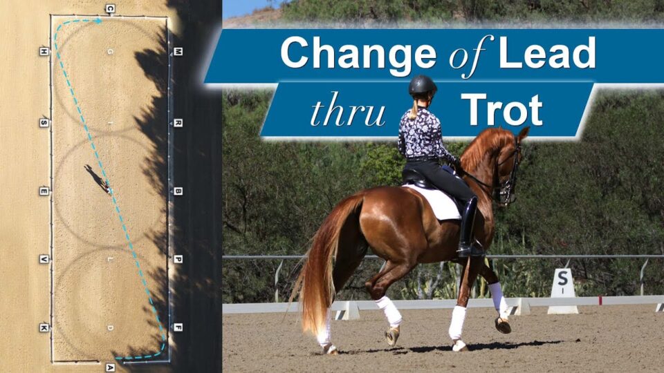 Split image: left side shows a diagram of a horse’s path on an arena; right side shows a rider in black-and-white attire on a chestnut horse performing a change of lead. Text reads: Learn to ride through the trot.