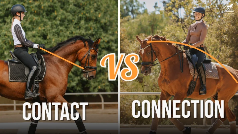 Split image: left side labeled Contact shows a rider holding reins taut; right side, labeled Connection, features a smiling rider and relaxed horse in harmony. VS stands boldly in the center.