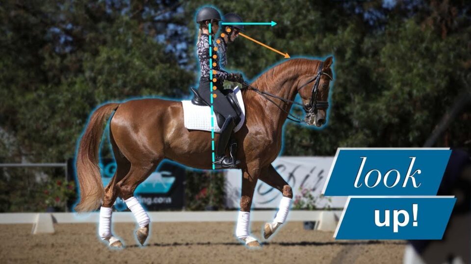 A person riding a chestnut horse in an arena, with blue and orange lines illustrating posture, highlighting the rider’s head looking up. The text overlay reads “look up!” in the bottom right corner.