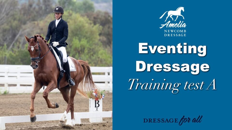 eventing dressage training test A