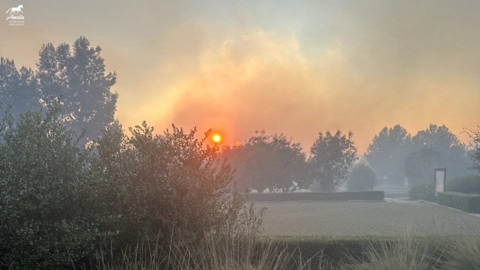 The sun glows orange through thick smoke from the Mountain Fire Update 2024, casting a hazy light over trees, hedges, and grass. The sky is filled with smoke, and visibility is reduced in the early morning or evening.