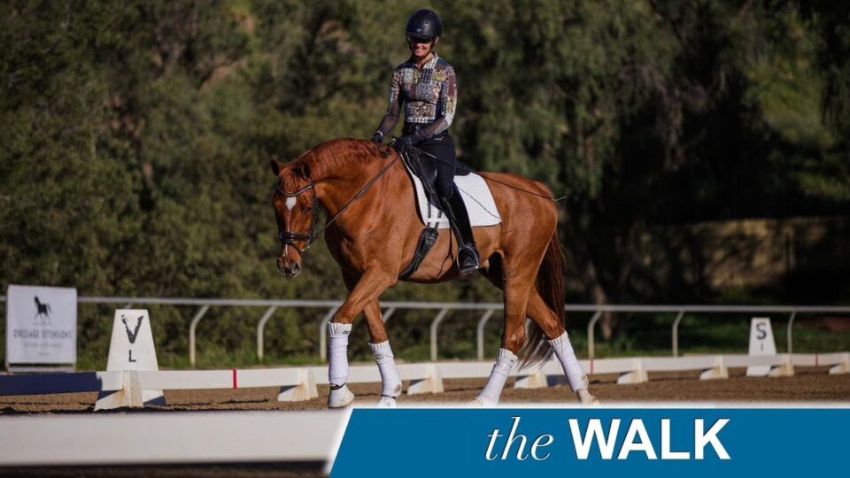 A rider in a helmet and patterned top guides a chestnut horse at a walk in a dressage arena, with trees in the background and the words the WALK in the corner.
