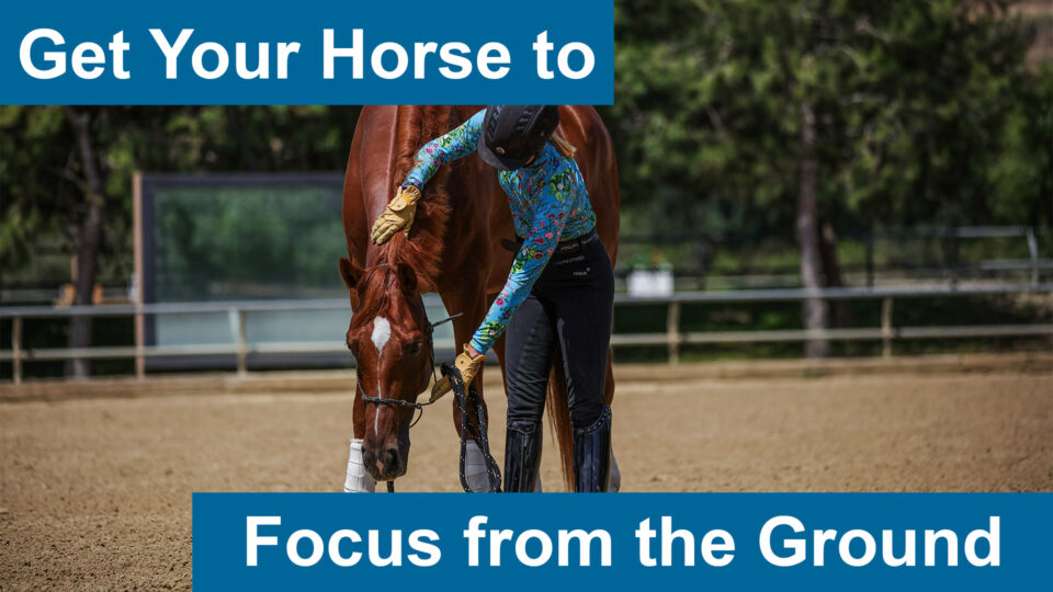A person in a helmet and patterned shirt bends down to interact with a chestnut horse in an arena. Text reads, Get Your Horse to Focus from the Ground—discover essential ground training tips for better horse focus.