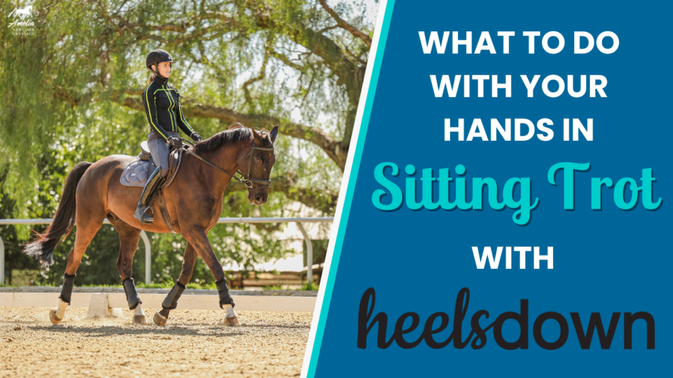 What to do with your hands in sitting trot