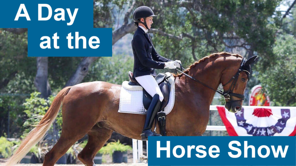 A rider in formal equestrian attire guides a brown horse during a Horse Show, outdoors with trees and patriotic decorations. Bold blue text reads “A Day at the Horse Show.”.