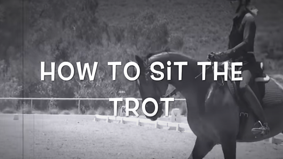 how to sit the trot