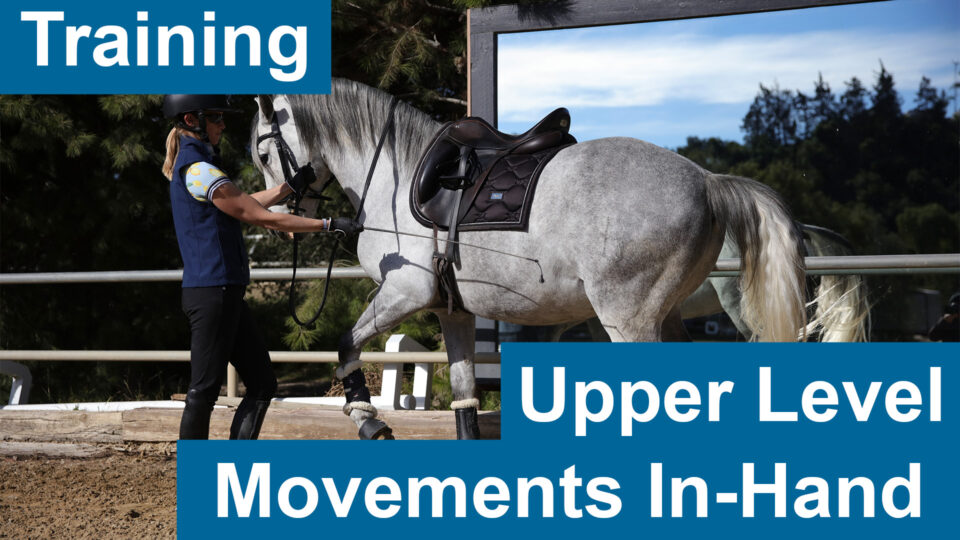 A person guides a gray horse performing advanced movements like passage and pirouettes in a riding arena. Trees and a blue sky are in the background. Text reads: Training Upper Level Movements In-Hand.