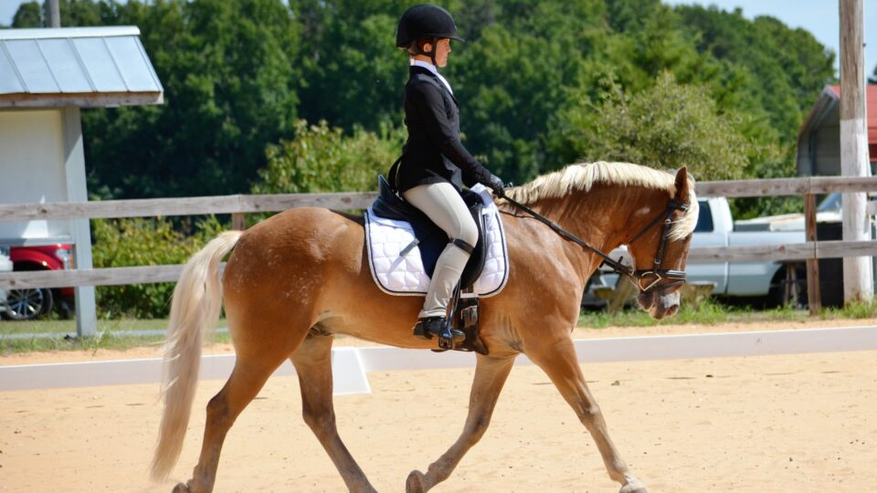 A young rider in formal attire and helmet is riding a light brown horse with a white mane in an outdoor sandy arena, demonstrating how to train your eye, with trees and a building visible in the background.