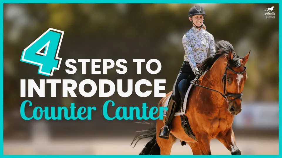 A smiling equestrian rides a brown horse outdoors. Text on the image reads: 4 Step by Step Ways to Introduce Counter Canter. The rider wears a helmet and patterned shirt. The background is blurred with green and yellow tones.