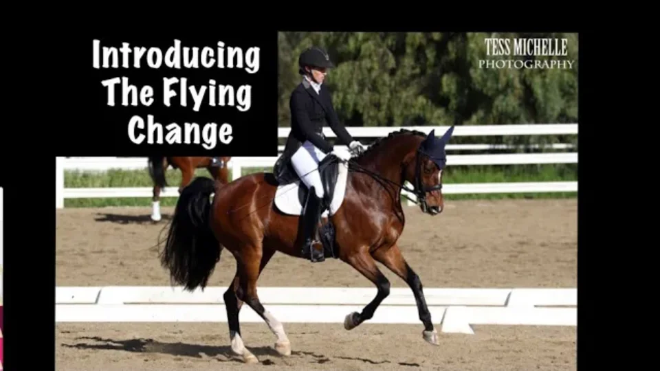 introducing the flying change