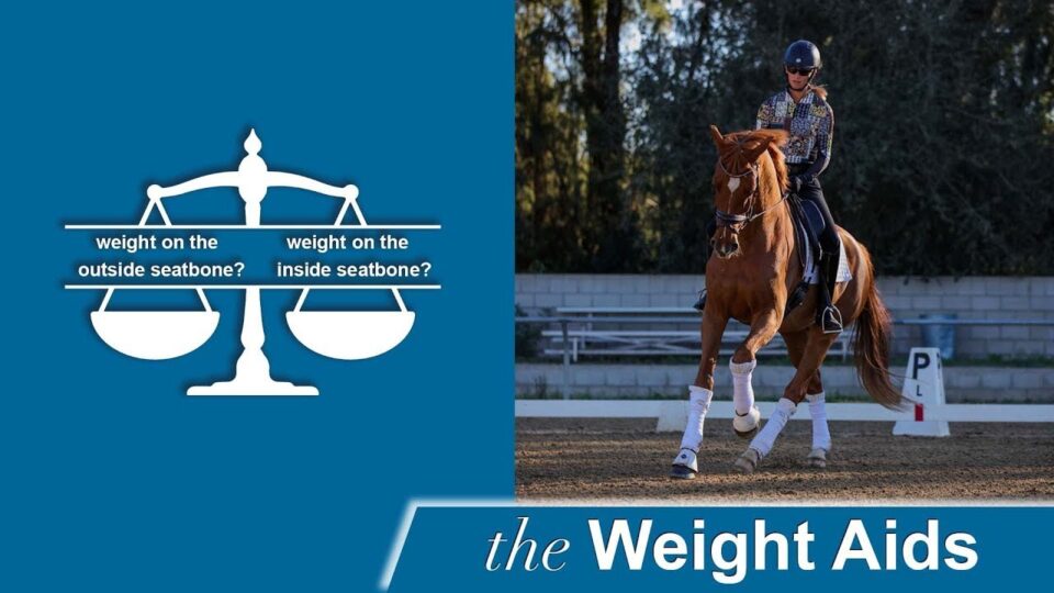 A graphic of a scale asks “weight on the outside seatbone?” and “weight on the inside seatbone?” beside a rider in formal attire riding a chestnut horse in an outdoor dressage arena. Text reads: “the Weight Aids.”.