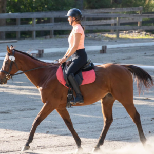 A person wearing a helmet, boots, and an orange shirt rides a brown horse with a pink saddle pad in an outdoor riding arena with a wooden fence—perfect for mastering skills before your Groundwork Webinar.