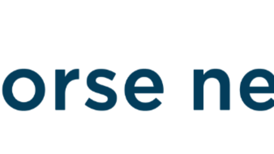 Horse Network logo with a white stylized horse head inside a blue circle to the left of the words horse network in dark blue lowercase letters on a white background, capturing the energy and elegance of horse riding and the sitting trot.