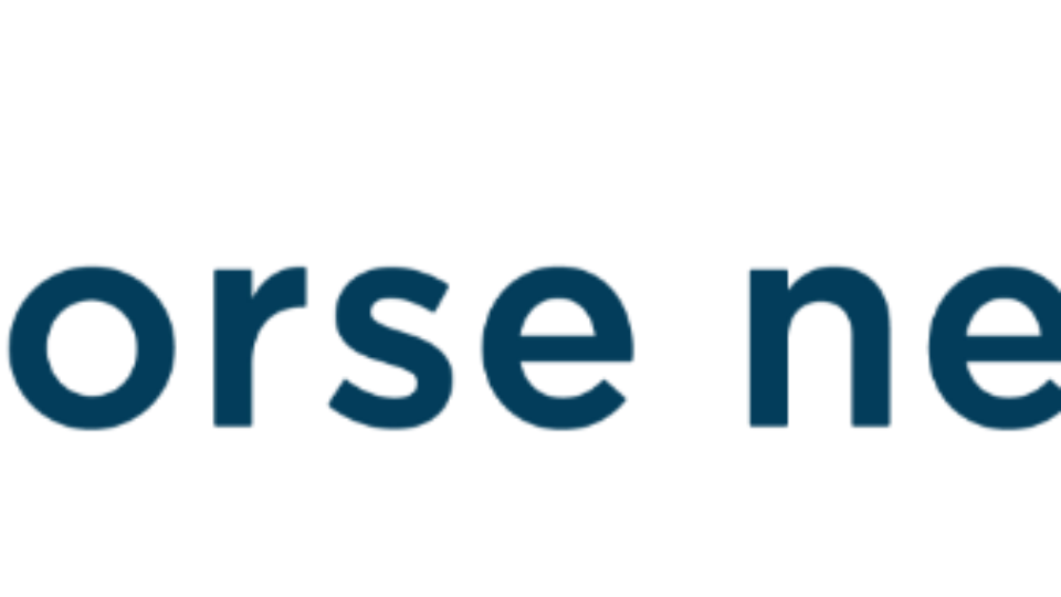 A blue circle with a minimalist white outline of a horse’s head next to the words “Horse Network” in dark blue lowercase letters, representing a hub for equestrian updates and horse news.