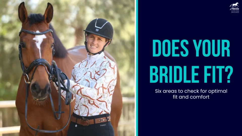 A smiling person wearing a riding helmet stands next to a brown horse holding its bridle. Text reads: Does your horse bridle fit? Discover six bridle fitting tips for optimal fit and comfort.