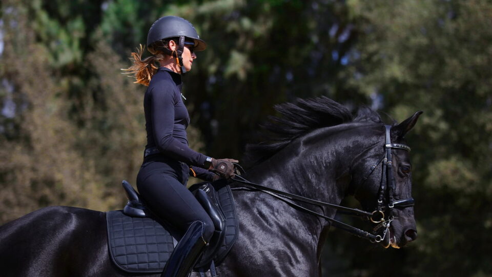 A person wearing a black helmet and outfit rides a black horse outdoors, surrounded by green trees. Both horse and rider appear focused and in motion, as if participating in expert masterclasses.