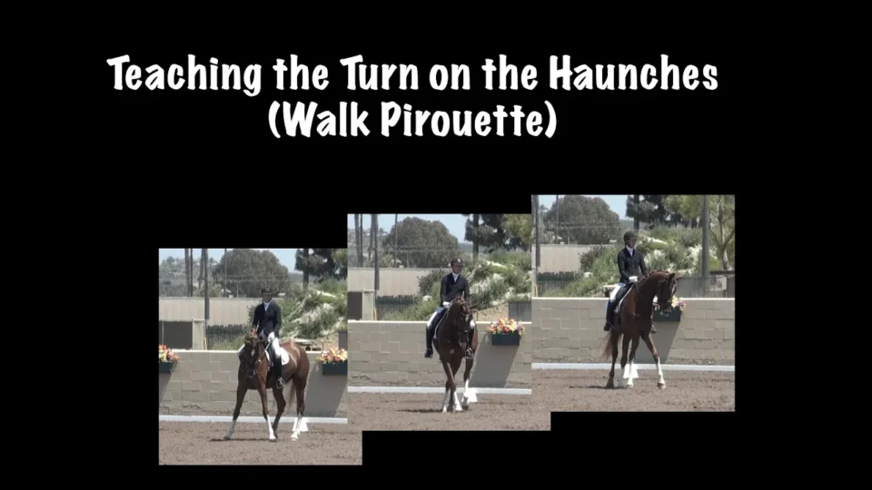 A rider on a brown horse demonstrates a turn on the haunches in an outdoor arena. Three frames capture key moments of the walk pirouette. White text above reads, Teaching the Turn on the Haunches (Walk Pirouette).