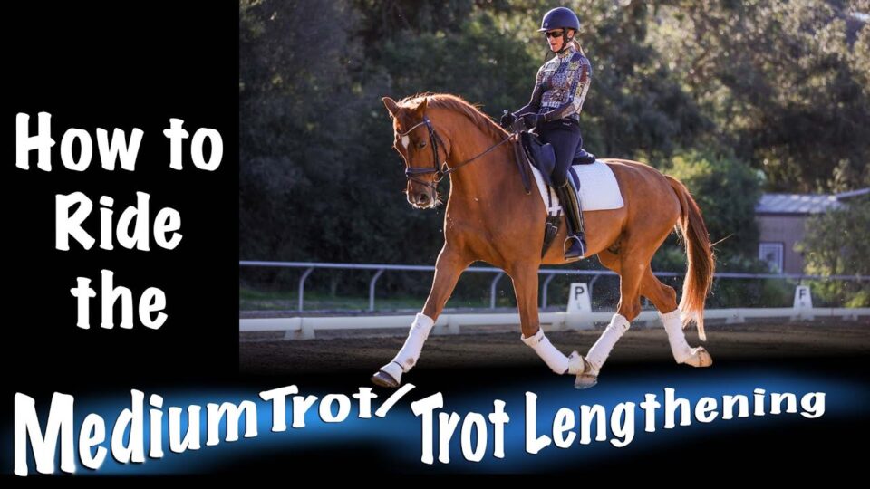 A rider in a helmet and patterned shirt is riding a chestnut horse with white socks in an outdoor arena. Text reads: How to develop trot lengthening with effective horse training techniques.