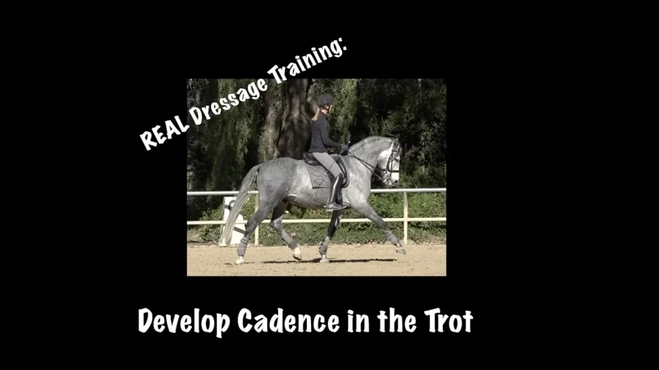A rider on a gray horse trots in an outdoor arena. The text reads, “REAL Dressage Training: Trot Training to Develop Cadence.” Tall trees and a wooden fence are visible in the background.