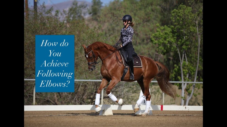 A person wearing a helmet rides a chestnut horse in an outdoor arena, demonstrating Following Elbows. Text on the left asks, How do You Achieve Following Elbows? Trees and a fence are visible in the background.