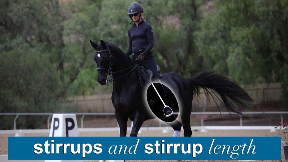 A person in riding gear is riding a black horse in an outdoor arena. The image highlights the horse’s stirrup, with the text dressage stirrup length and stirrups at the bottom.