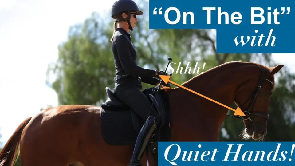 A person in equestrian gear rides a bay horse. Text reads: On The Bit with Quiet Hands! Arrows point from the rider’s quiet hands to the horse’s mouth, with Shhh! emphasizing gentle contact with the reins.