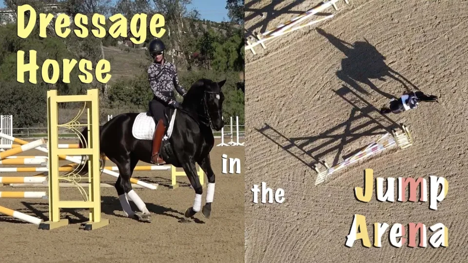 A rider on a black horse is about to jump a yellow obstacle in the Jump Arena. The split image shows an overhead view of the dressage horse’s shadow mid-jump, with bold text reading Dressage Horse in the Jump Arena.