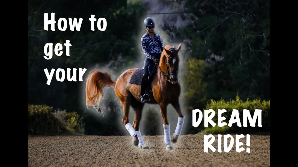 A person riding a chestnut horse in an outdoor arena, showcasing excellent rideability, with the text How to get your DREAM RIDE! overlaid in white, bold letters. The horse is trotting, both wear riding gear, and trees fill the background.