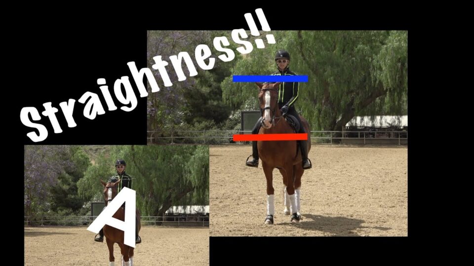 A rider on a chestnut horse is shown in an outdoor arena. Lines highlight rider symmetry and alignment, with the word “Straightness!!” in bold across the image. Trees are visible in the background.