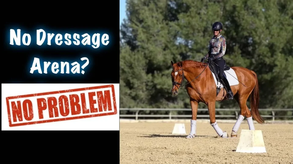 A person in equestrian attire rides a brown horse on a sandy area with markers, showing that dressage training can happen anywhere. Text on the left says No Dressage Arena? NO PROBLEM with NO PROBLEM in a red stamp style. Trees are visible behind.