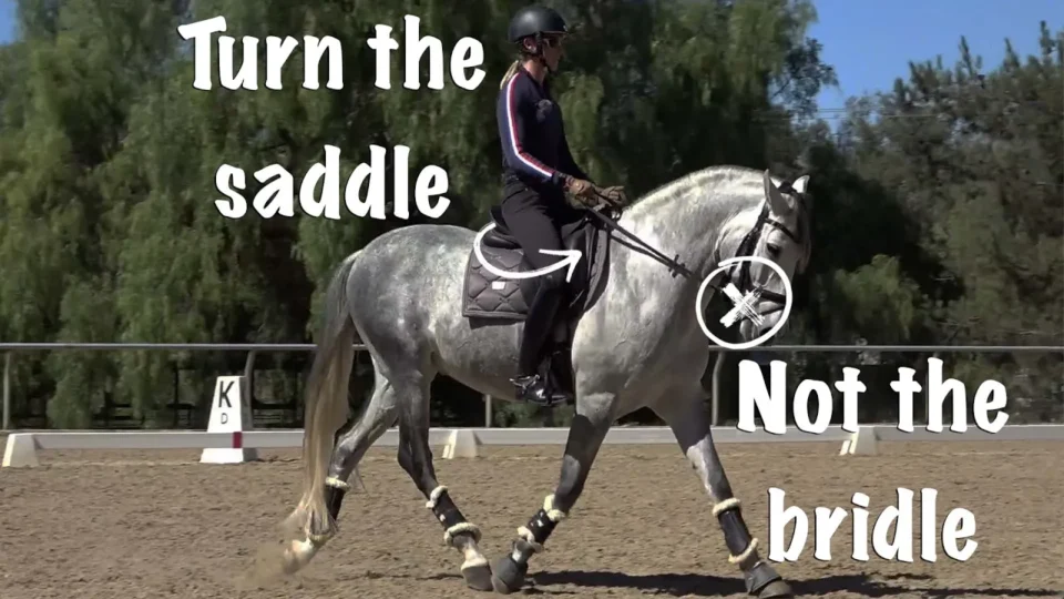 A person in riding gear rides a gray horse in an outdoor arena. Text reads Turn the saddle for proper saddle adjustment with an arrow to the rider's seat, and Not the horse bridle near the horse’s head. Trees and a fence are in the background.