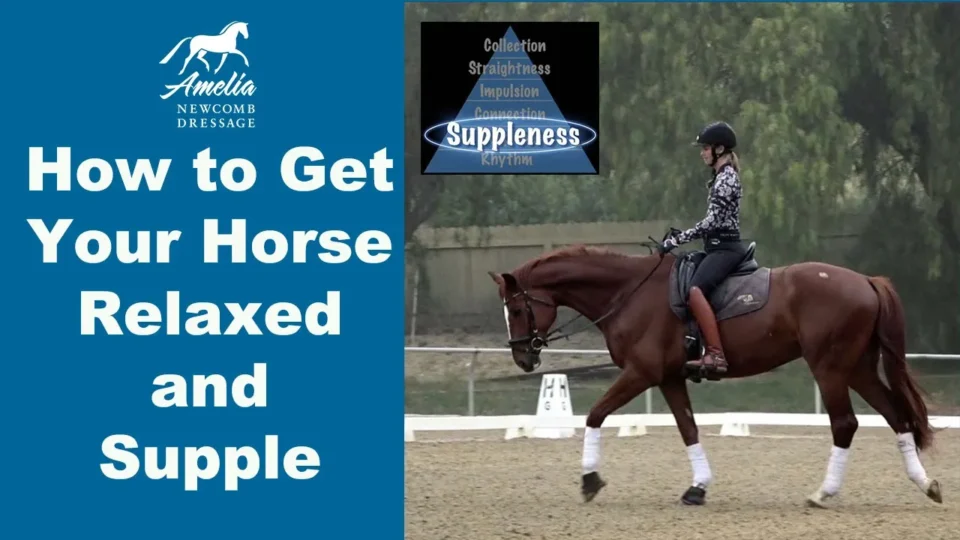 A rider in equestrian attire guides a brown, supple horse in an arena. Text reads How to Get Your Horse Relaxed and Supple alongside a blue triangle diagram and Amelia Newcomb Dressage logo at the top left.