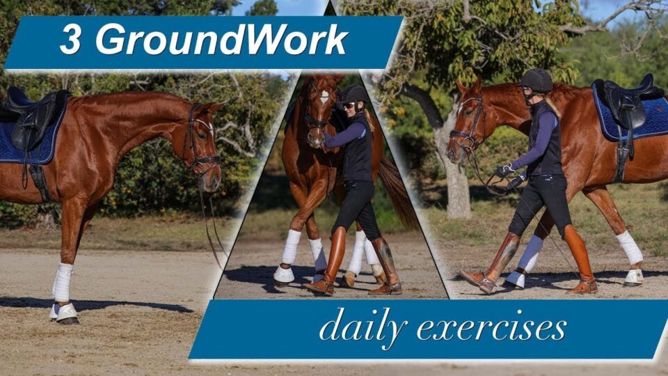 A person leads a relaxed horse through groundwork exercises outdoors. Text on the image reads "3 GroundWork and daily exercises." The scene is set in a sandy area with trees in the background.