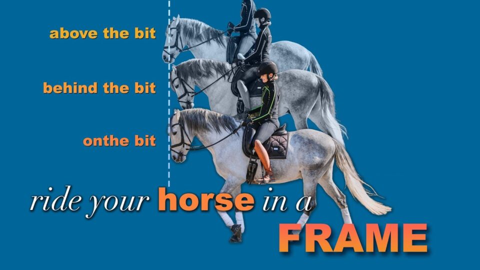 Three riders on gray horses demonstrate riding posture: above the bit, behind the bit, and on the bit. Text says, ride your horse in a FRAME on a blue background—perfecting your horse frame for better horse riding.
